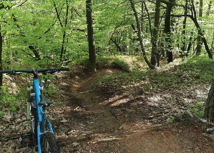 Appartamento Apartma Smucisce Krvavec